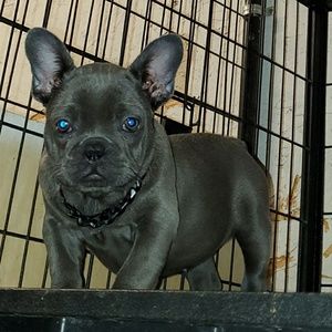 Meet your Posher, Jose